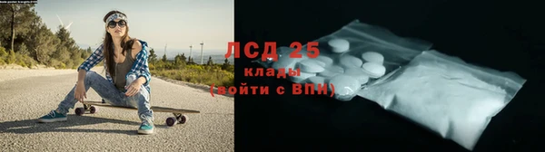 трава Надым