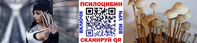 Псилоцибиновые грибы мухоморы  как найти   Ахтырский 